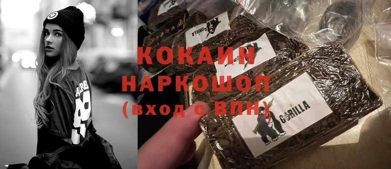 где купить наркотик  даркнет состав  Cocaine VHQ  Нижнеудинск 