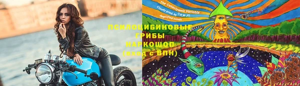 таблы Нея