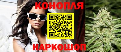 ALPHA PVP Гатчина