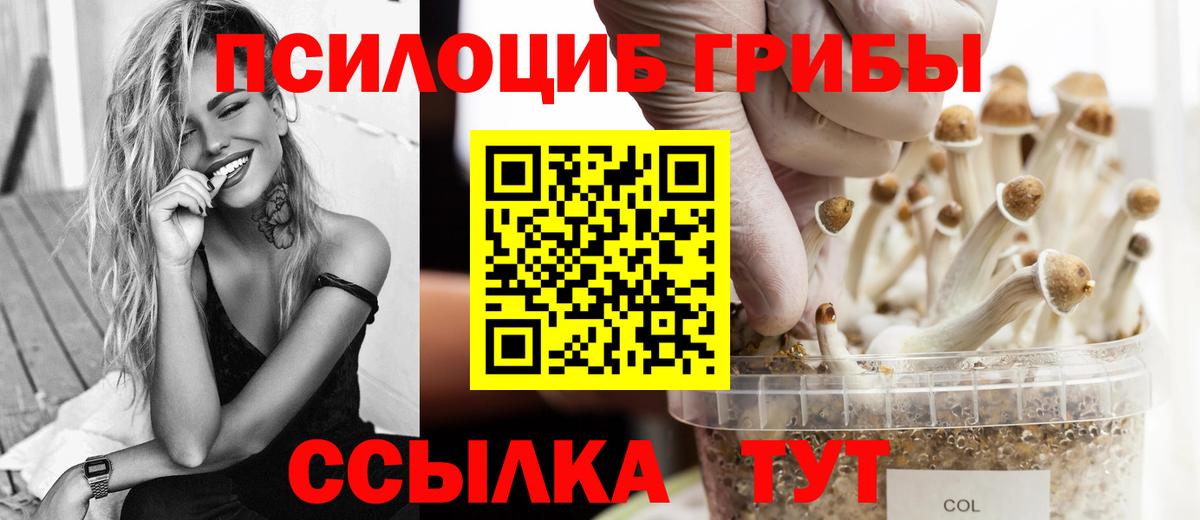 Галлюциногенные грибы GOLDEN TEACHER  Нижнеудинск  Псилоцибиновые грибы Cubensis 