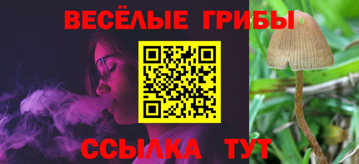 Галлюциногенные грибы ЛСД Нижнеудинск