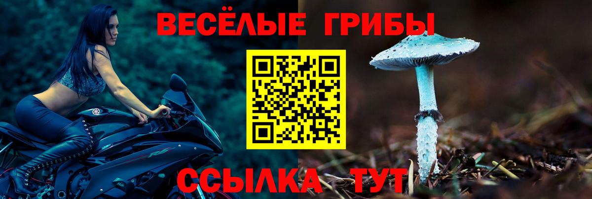 Псилоцибиновые грибы ЛСД  купить наркоту  Нижнеудинск  Вход с VPN 